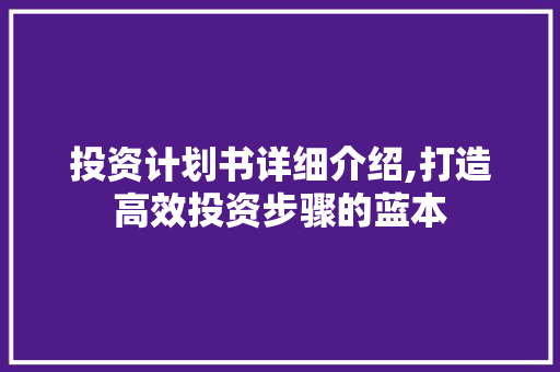 投资计划书详细介绍,打造高效投资步骤的蓝本