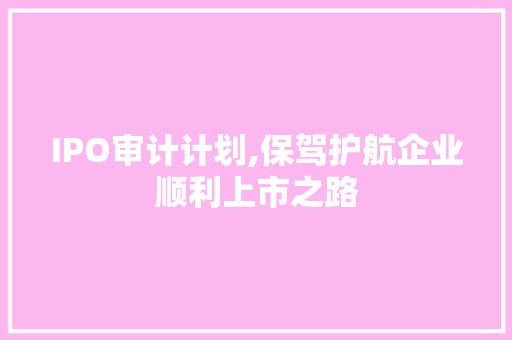 IPO审计计划,保驾护航企业顺利上市之路