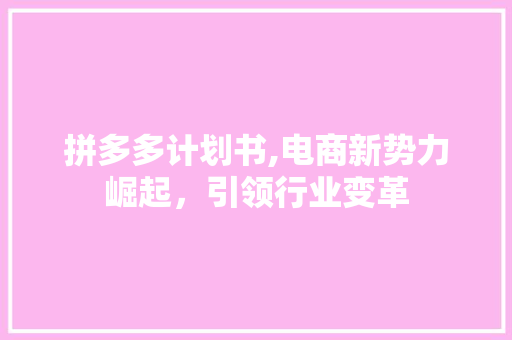 拼多多计划书,电商新势力崛起，引领行业变革 汉字拼音
