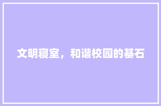 文明寝室，和谐校园的基石