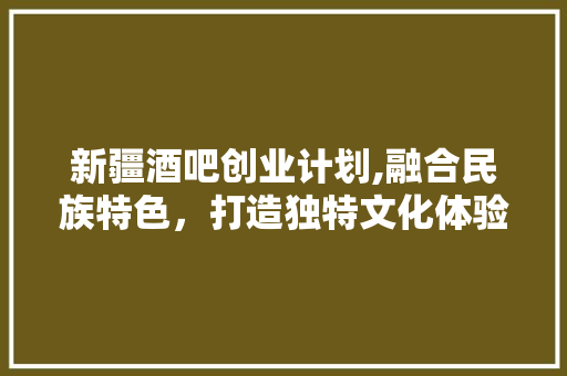 新疆酒吧创业计划,融合民族特色，打造独特文化体验空间 短语