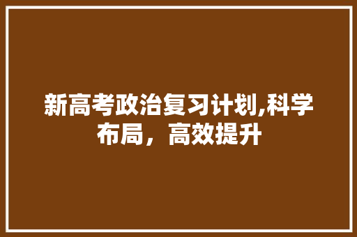 新高考政治复习计划,科学布局，高效提升