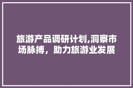 旅游产品调研计划,洞察市场脉搏，助力旅游业发展