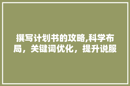 撰写计划书的攻略,科学布局，关键词优化，提升说服力 英语单词