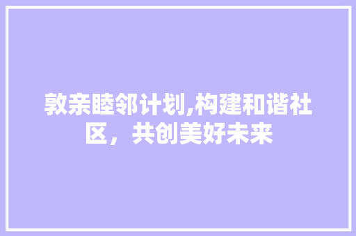 敦亲睦邻计划,构建和谐社区，共创美好未来