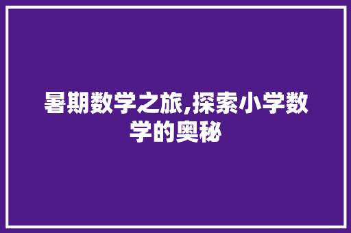 暑期数学之旅,探索小学数学的奥秘