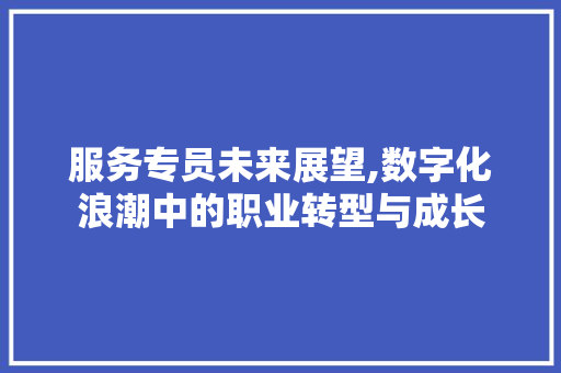 服务专员未来展望,数字化浪潮中的职业转型与成长
