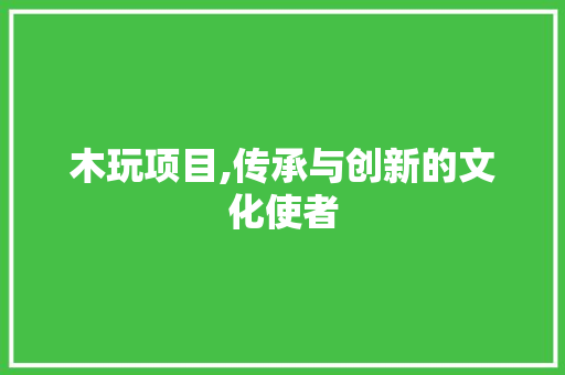 木玩项目,传承与创新的文化使者