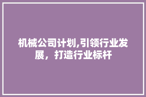 机械公司计划,引领行业发展，打造行业标杆 汉字拼音