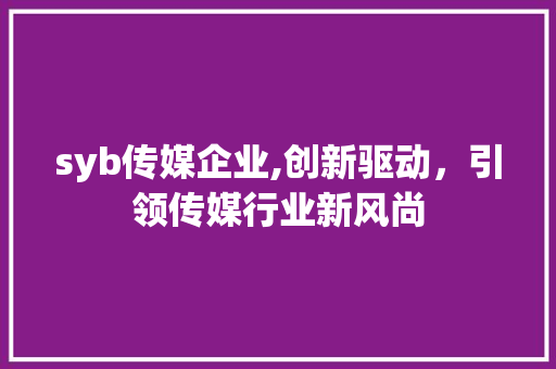 syb传媒企业,创新驱动，引领传媒行业新风尚