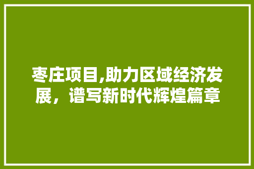 枣庄项目,助力区域经济发展，谱写新时代辉煌篇章 反义词汇