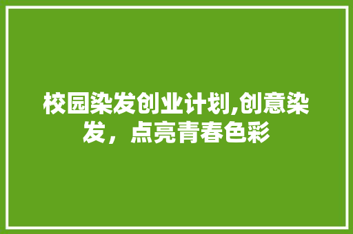 校园染发创业计划,创意染发，点亮青春色彩