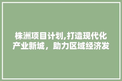 株洲项目计划,打造现代化产业新城，助力区域经济发展 古代典籍