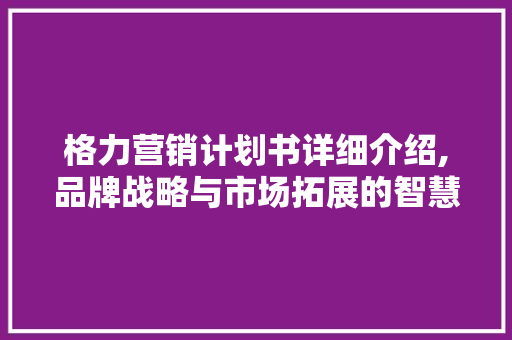 格力营销计划书详细介绍,品牌战略与市场拓展的智慧之路