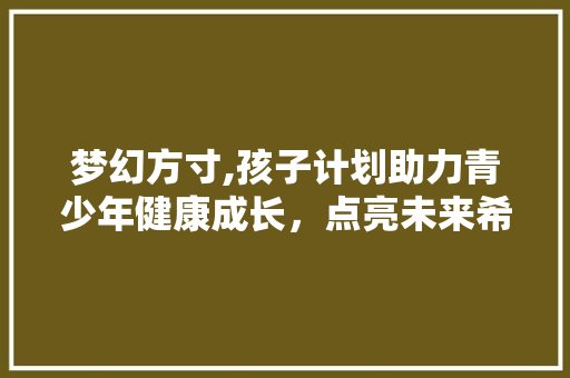 梦幻方寸,孩子计划助力青少年健康成长，点亮未来希望之光 问答