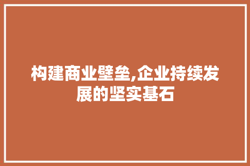 构建商业壁垒,企业持续发展的坚实基石