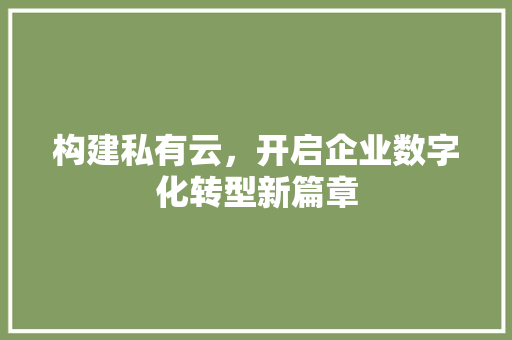 构建私有云，开启企业数字化转型新篇章 反义词汇