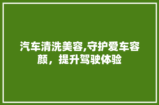汽车清洗美容,守护爱车容颜，提升驾驶体验 汉字拼音