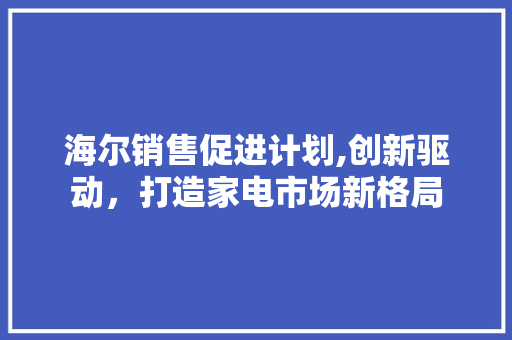 海尔销售促进计划,创新驱动，打造家电市场新格局