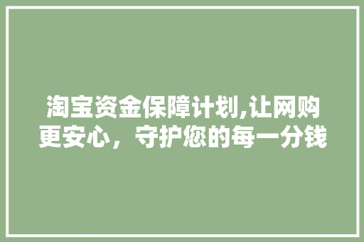 淘宝资金保障计划,让网购更安心，守护您的每一分钱