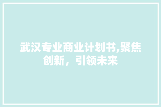 武汉专业商业计划书,聚焦创新，引领未来