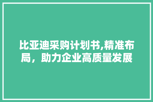 比亚迪采购计划书,精准布局，助力企业高质量发展