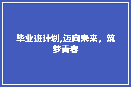 毕业班计划,迈向未来，筑梦青春 近义词汇