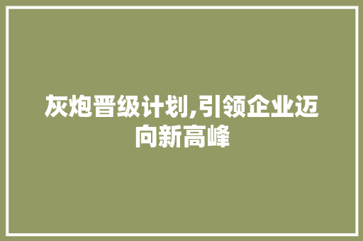 灰炮晋级计划,引领企业迈向新高峰 英语单词