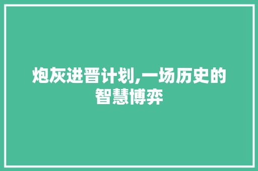 炮灰进晋计划,一场历史的智慧博弈
