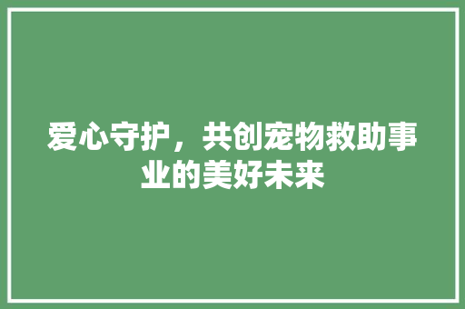 爱心守护，共创宠物救助事业的美好未来 问答