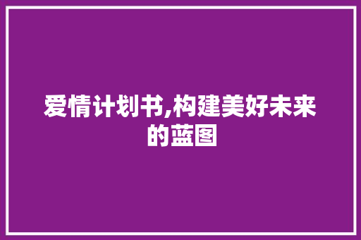 爱情计划书,构建美好未来的蓝图