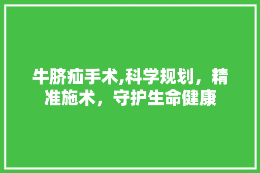 牛脐疝手术,科学规划，精准施术，守护生命健康 近义词汇