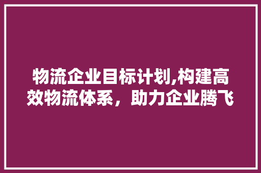 物流企业目标计划,构建高效物流体系，助力企业腾飞 近义词汇