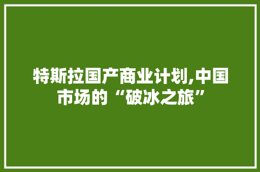 特斯拉国产商业计划,中国市场的“破冰之旅”