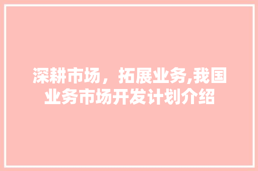 深耕市场，拓展业务,我国业务市场开发计划介绍 成语汇编