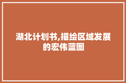 湖北计划书,描绘区域发展的宏伟蓝图