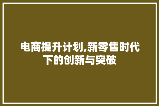 电商提升计划,新零售时代下的创新与突破