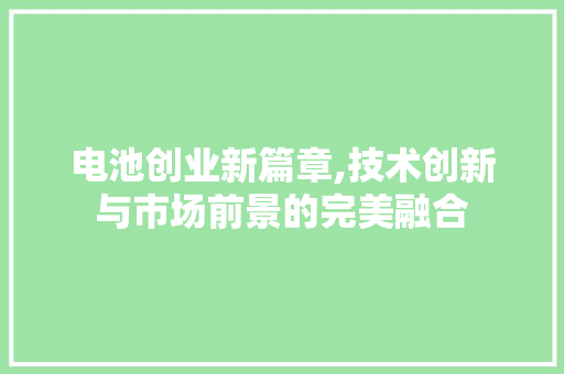 电池创业新篇章,技术创新与市场前景的完美融合