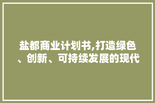 盐都商业计划书,打造绿色、创新、可持续发展的现代化盐业产业 英语单词
