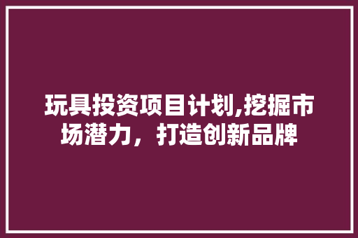 玩具投资项目计划,挖掘市场潜力，打造创新品牌
