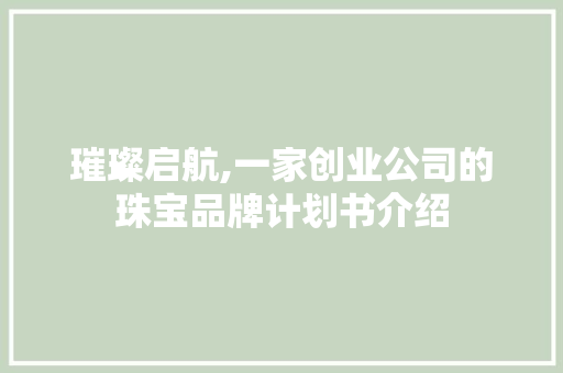 璀璨启航,一家创业公司的珠宝品牌计划书介绍