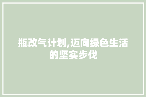 瓶改气计划,迈向绿色生活的坚实步伐