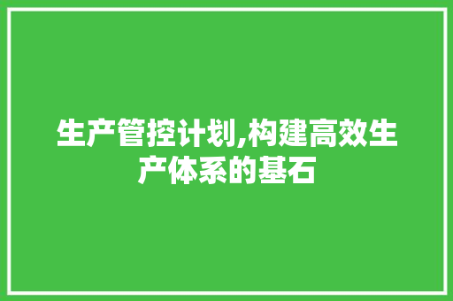 生产管控计划,构建高效生产体系的基石