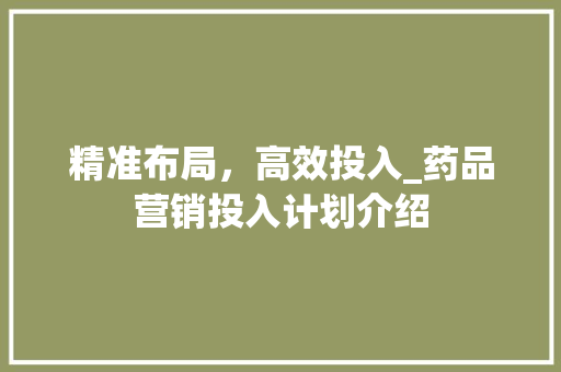 精准布局，高效投入_药品营销投入计划介绍