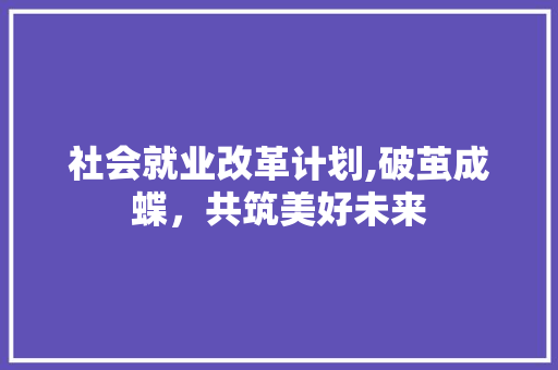 社会就业改革计划,破茧成蝶，共筑美好未来