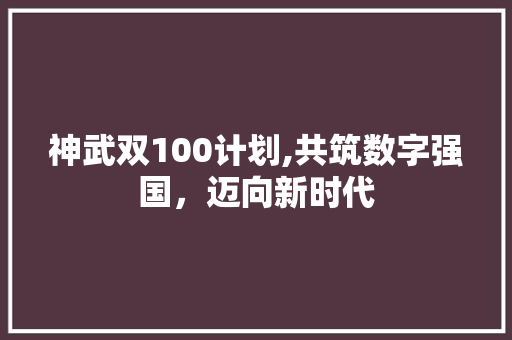 神武双100计划,共筑数字强国，迈向新时代
