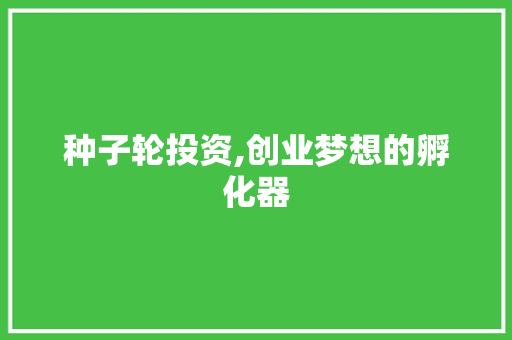 种子轮投资,创业梦想的孵化器