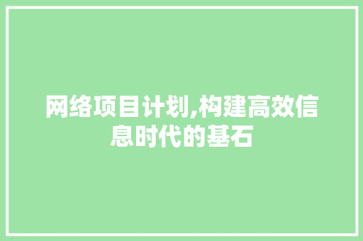 网络项目计划,构建高效信息时代的基石