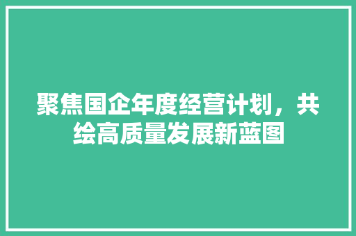 聚焦国企年度经营计划，共绘高质量发展新蓝图