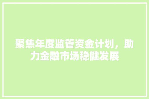 聚焦年度监管资金计划，助力金融市场稳健发展